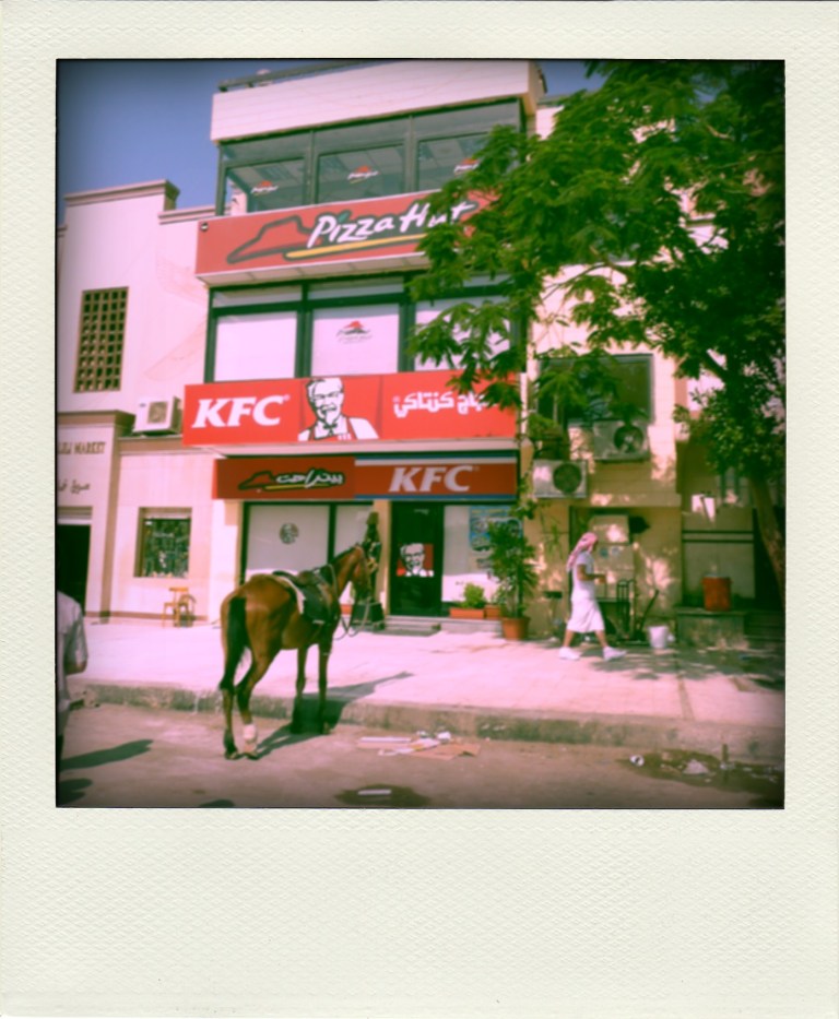 horse parked in front of kfc pizza hut at the pyramids
